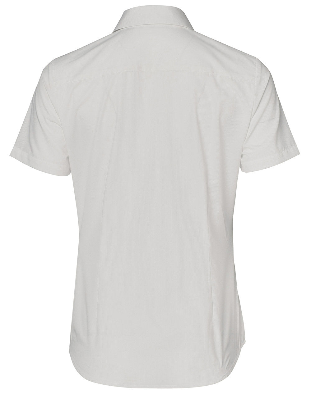 Benchmark M8110S BARKLEY LADIES TAPED SEAM SHORT SLEEVE SHIRT - WEARhouse