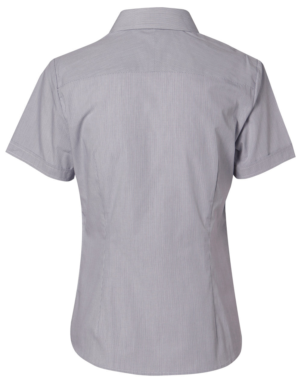 Benchmark M8211 Women's Fine Stripe Short Sleeve Shirt - WEARhouse