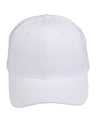 CH01 Heavy Brushed Cotton Cap - WEARhouse